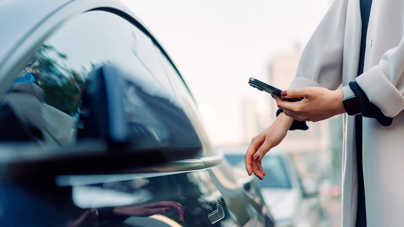 Snapshot of the European carsharing market